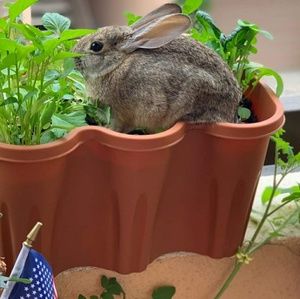 Meet your Posher, Meshelle